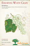 Edelweiss White Grape